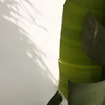 Villa Midi Pool & Veglie