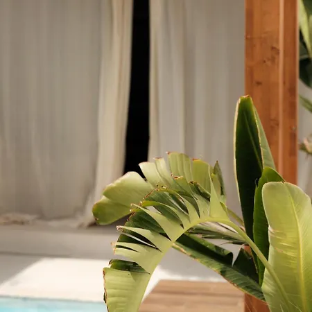 Midi Pool & וילה