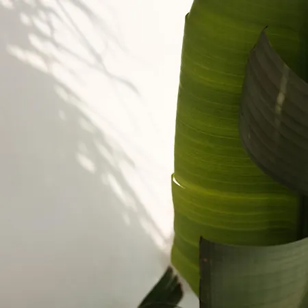 וילה Midi Pool & וגלי