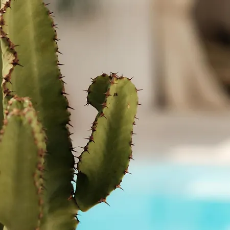 וילה Midi Pool &