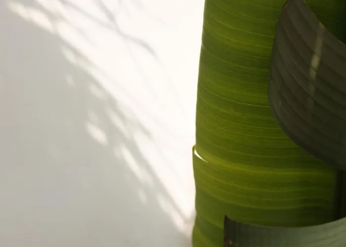 빌라 Midi Pool & 베글리에